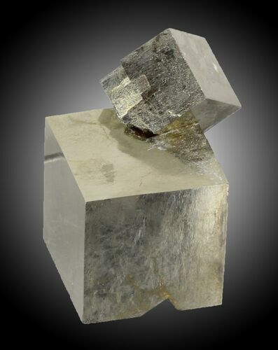 Pyrite Cube Cluster - Navajun, Spain #31018